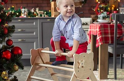 Треугольник Пиклер купить